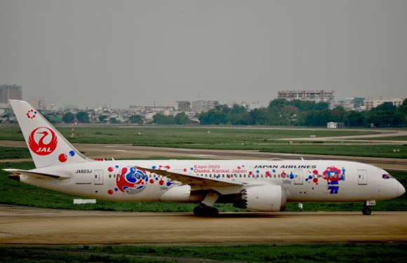 Delhi-Osaka flights: Are They the Best Travel Option?