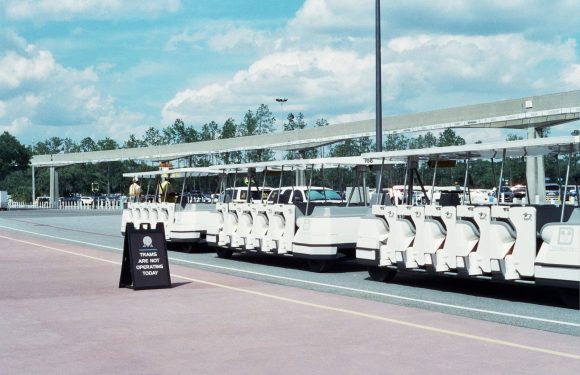 Disney World Boat Route Closure: What You Need to Know