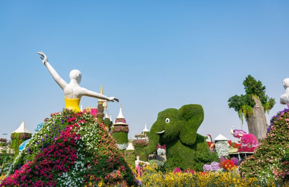 Dubai Miracle Garden reopening: Best Simple Celebrations