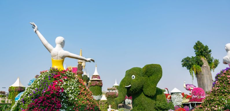 Dubai Miracle Garden reopening: Best Simple Celebrations