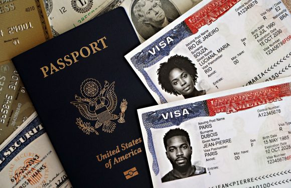 Are International Student Visas the Worst for Research Growth?